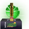 MAD LABS CACTUS COOLER
