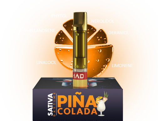 MAD LABS PINA COLADA