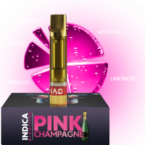 MAD LABS PINK CHAMPAGNE