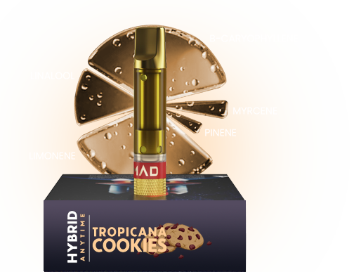 MAD LABS TROPICANA COOKIES